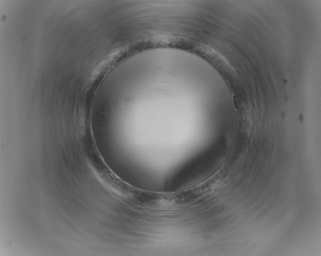 X0000071950496200607282012