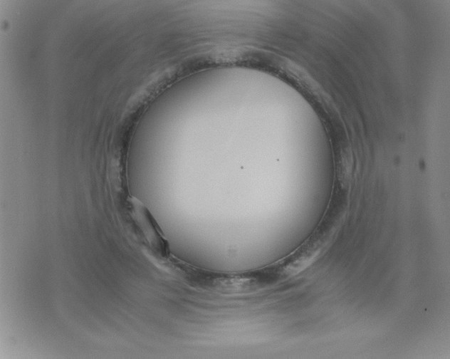 X0000071950497200607282012