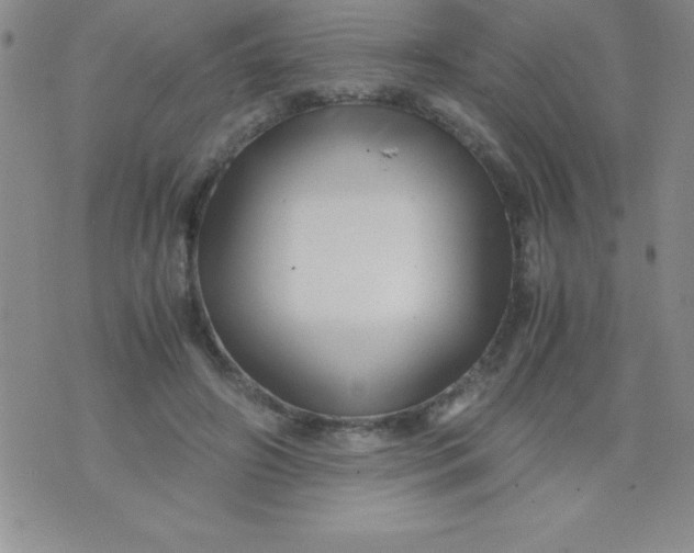 X0000071950498200607282012