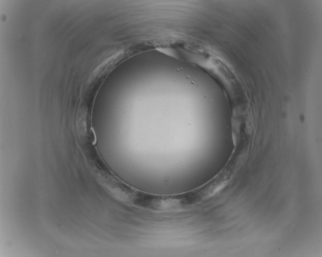 X0000071950501200607282012