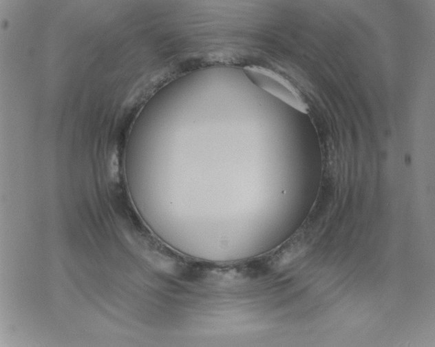 X0000071950502200607282012