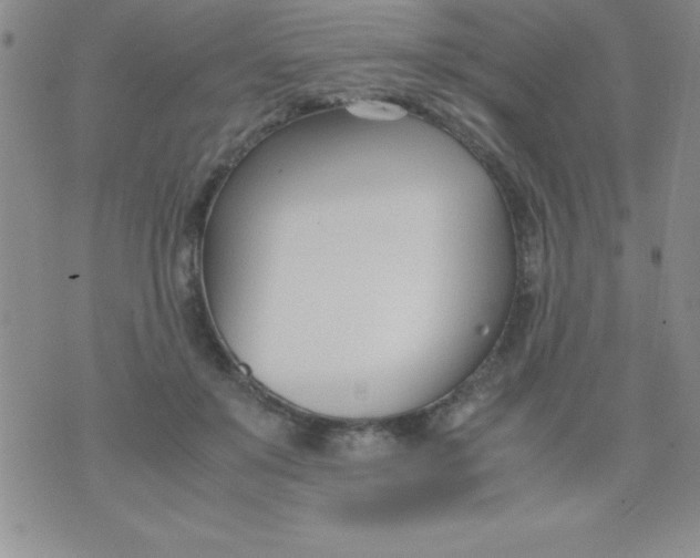 X0000071950503200607282012