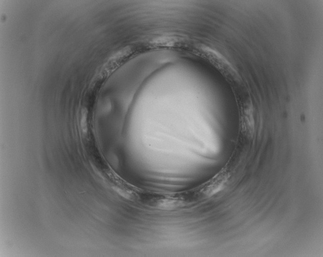 X0000071950504200607282012