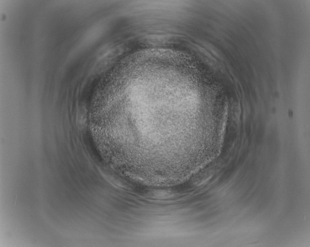 X0000071950507200607282012