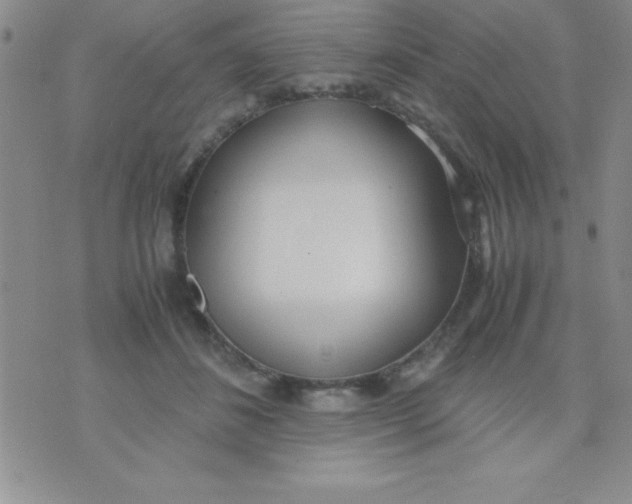 X0000071950508200607282012