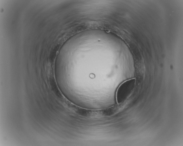 X0000071950511200607282011