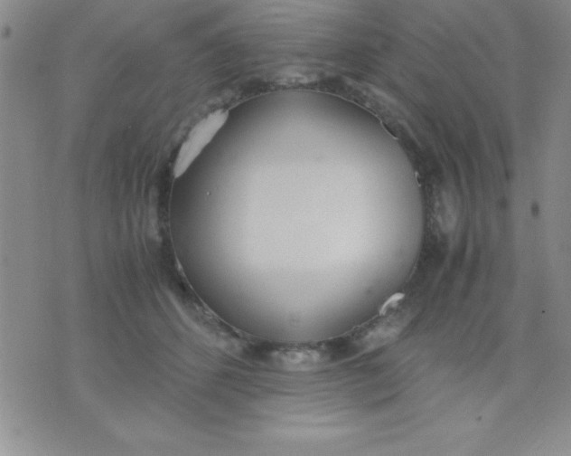 X0000071950512200607282011