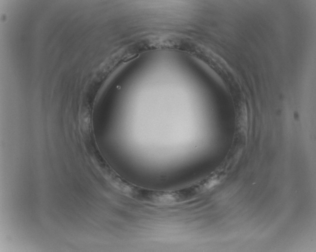 X0000071950513200607282011