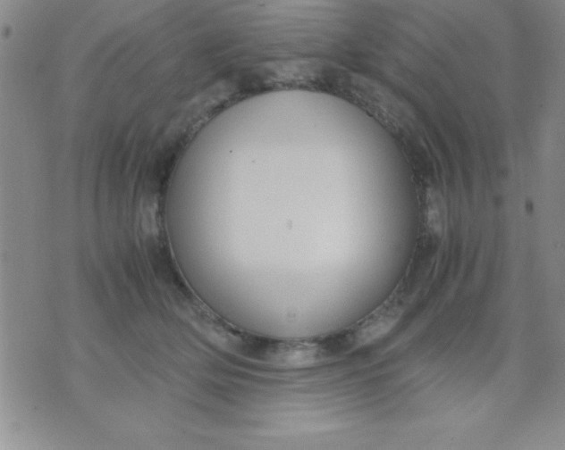 X0000071950514200607282011