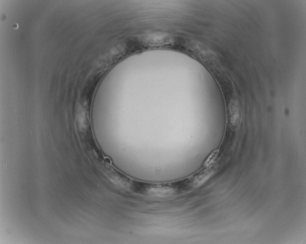 X0000071950515200607282011