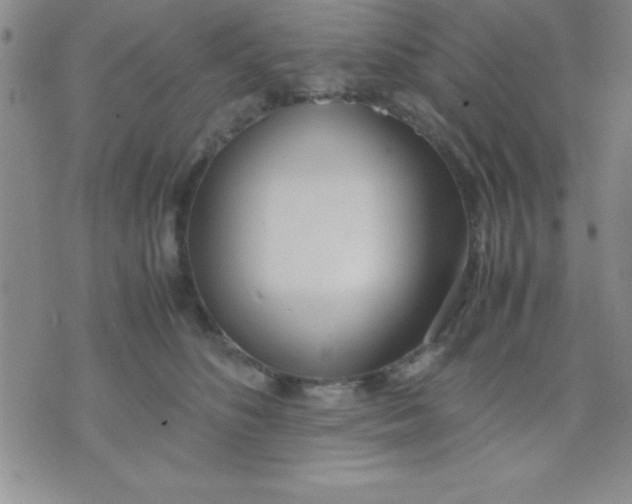 X0000071950516200607282011