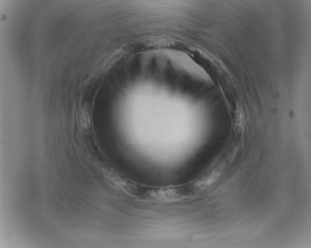 X0000071950517200607282011