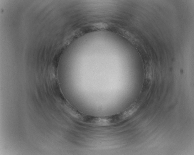 X0000071950518200607282011