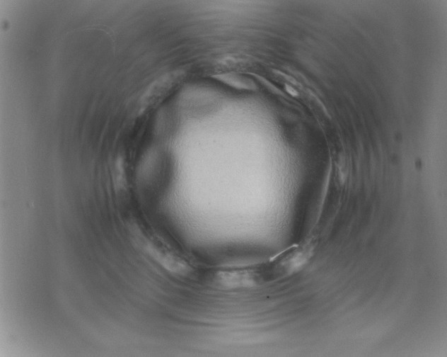 X0000071950520200607282011