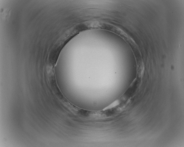 X0000071950521200607282011