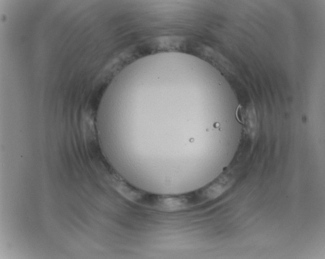 X0000071950522200607282011