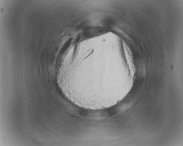 X0000071950523200607282011