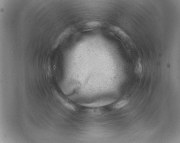 X0000071950524200607282011