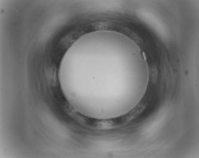 X0000071950525200607282011