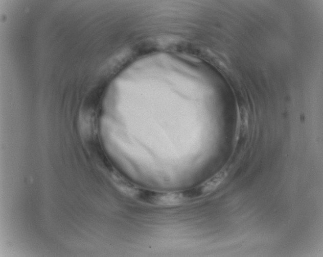 X0000071950527200607282011