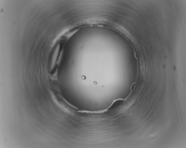 X0000071950530200607282010