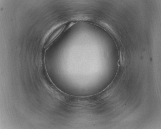 X0000071950531200607282010