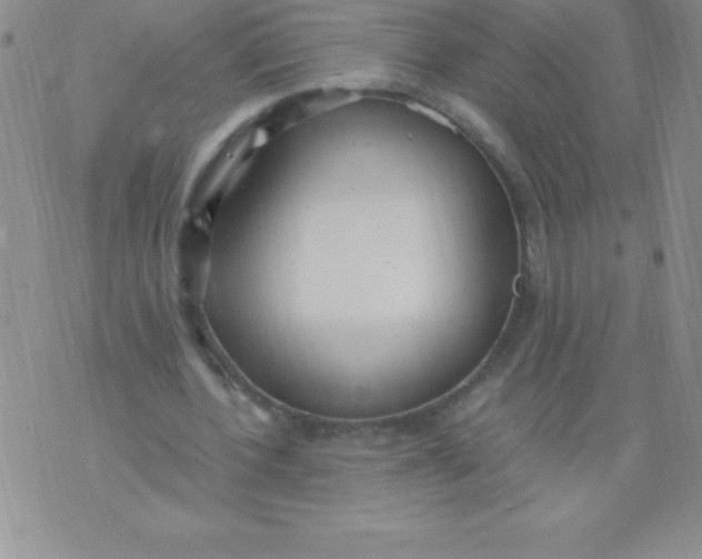 X0000071950532200607282010