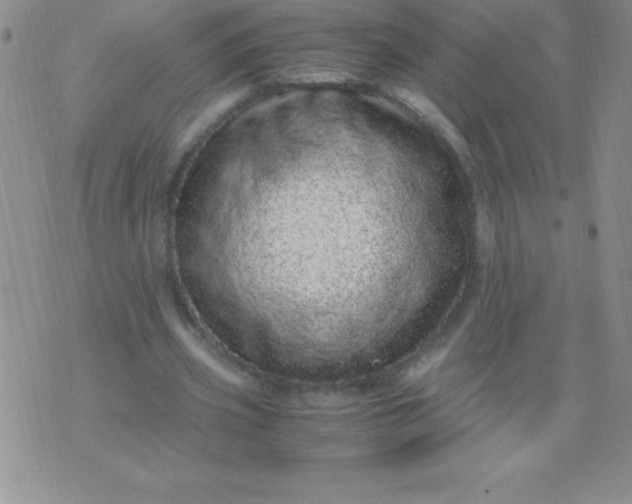 X0000071950533200607282011