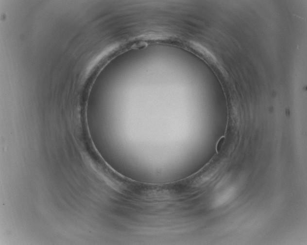 X0000071950535200607282011