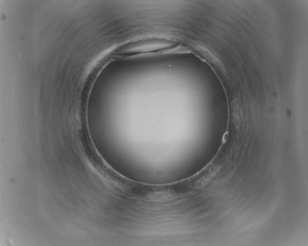 X0000071950536200607282011