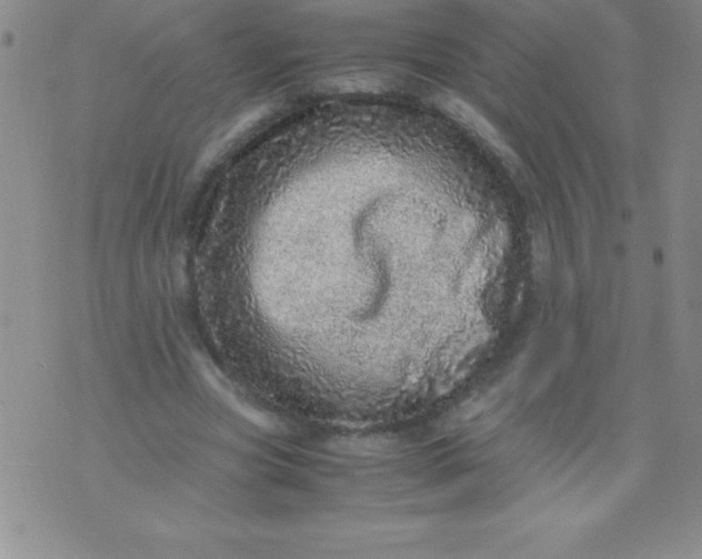 X0000071950537200607282011