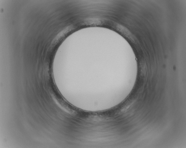 X0000071950538200607282011