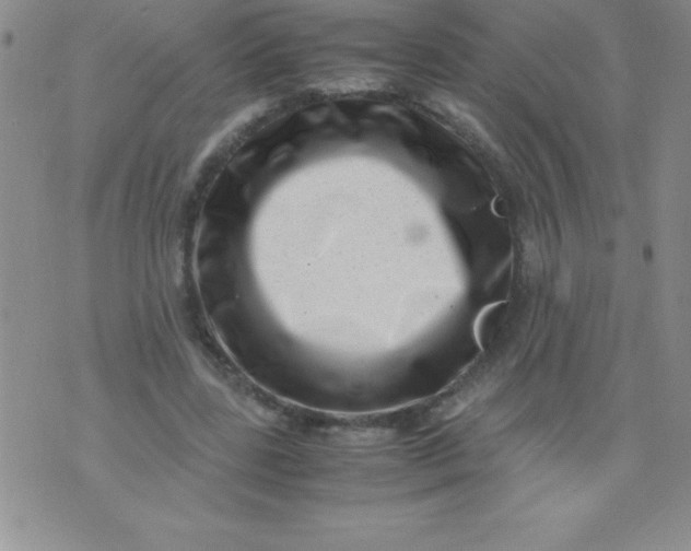 X0000071950539200607282011