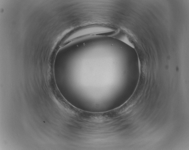 X0000071950540200607282011