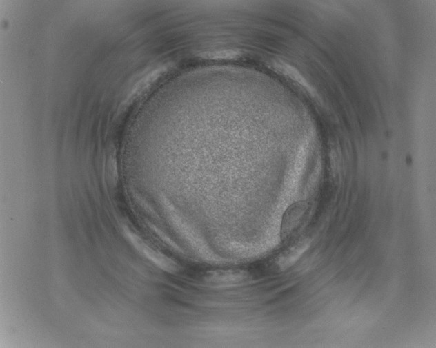 X0000071950541200607282011