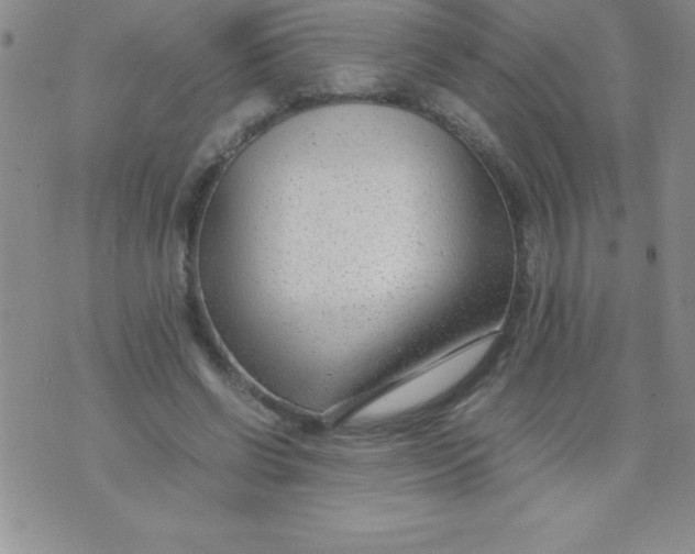 X0000071950542200607282011