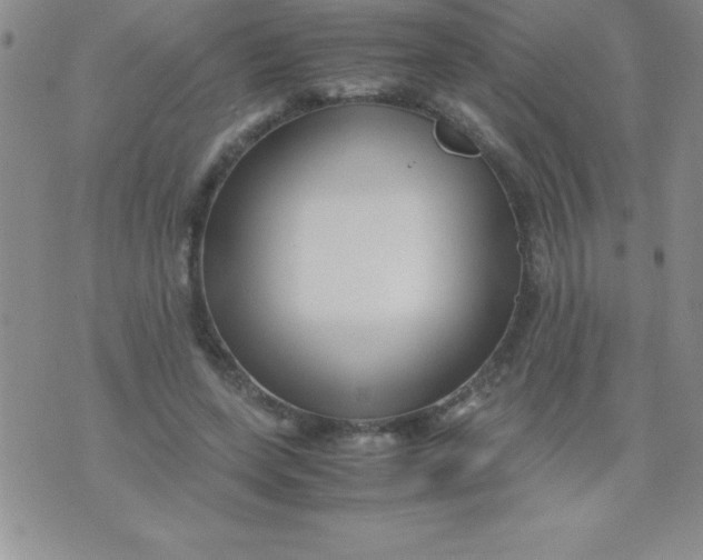 X0000071950543200607282011