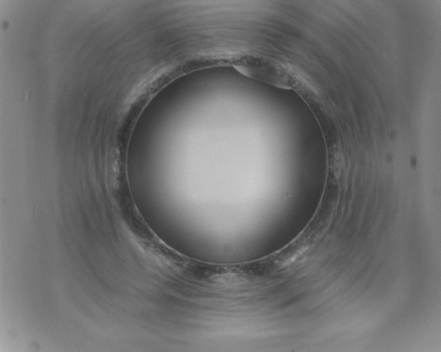 X0000071950544200607282011