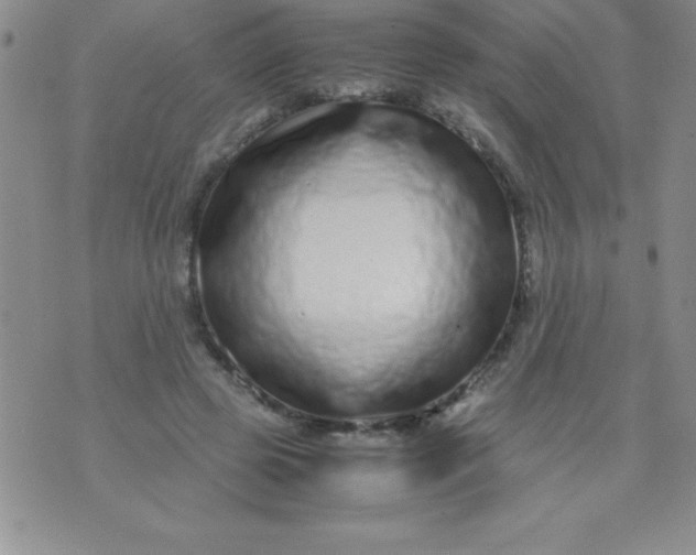 X0000071950545200607282011