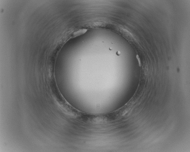 X0000071950546200607282011