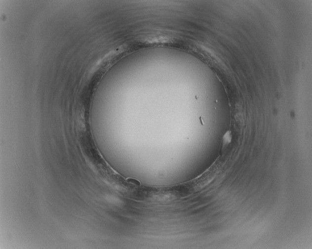 X0000071950547200607282011