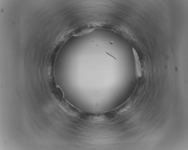 X0000071950548200607282011