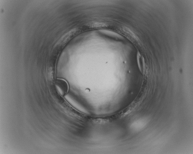 X0000071950549200607282011