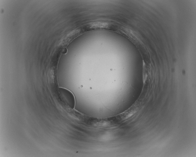 X0000071950551200607282011