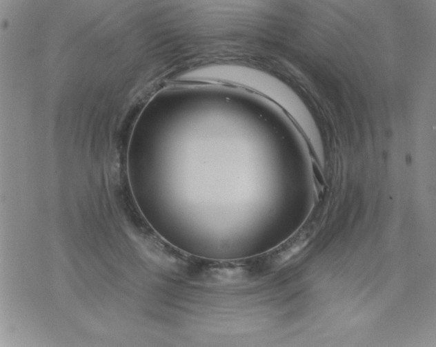 X0000071950552200607282011