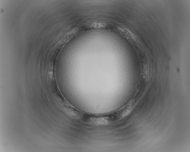 X0000071950553200607282011