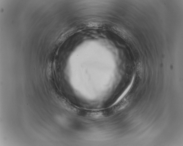 X0000071950554200607282011