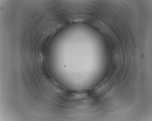 X0000071950555200607282011