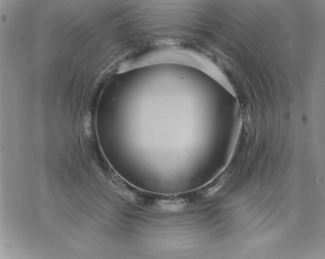 X0000071950556200607282011