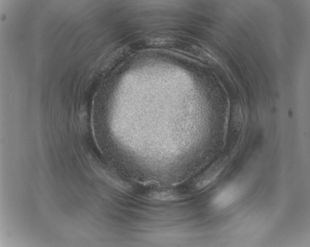 X0000071950557200607282011